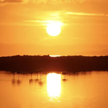 Duplex Rio Ebro Lägenhet Deltebre